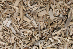 biomass boilers Etchinghill
